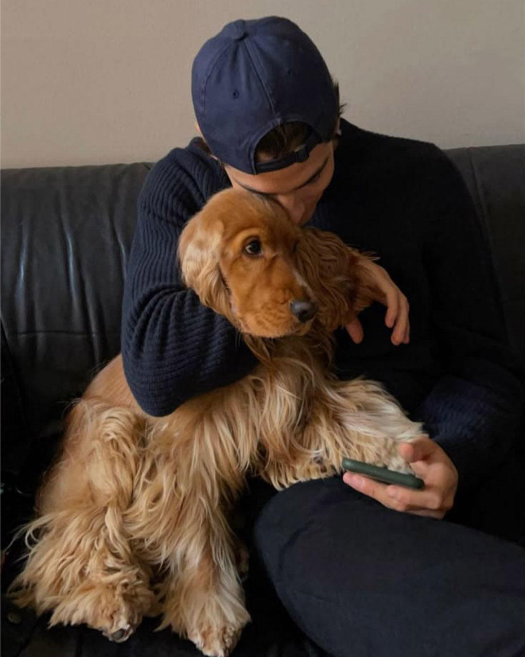 Glucosamine, chondroitin &amp; MSM: What do they do for adult dogs?