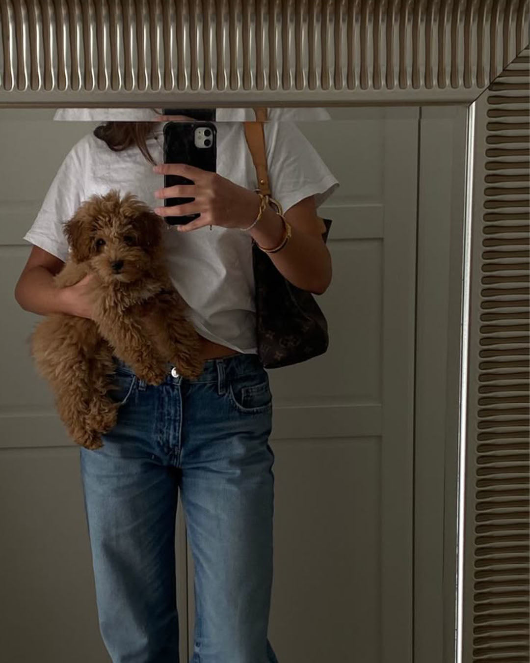 Common Joint Problems in Adult Dogs