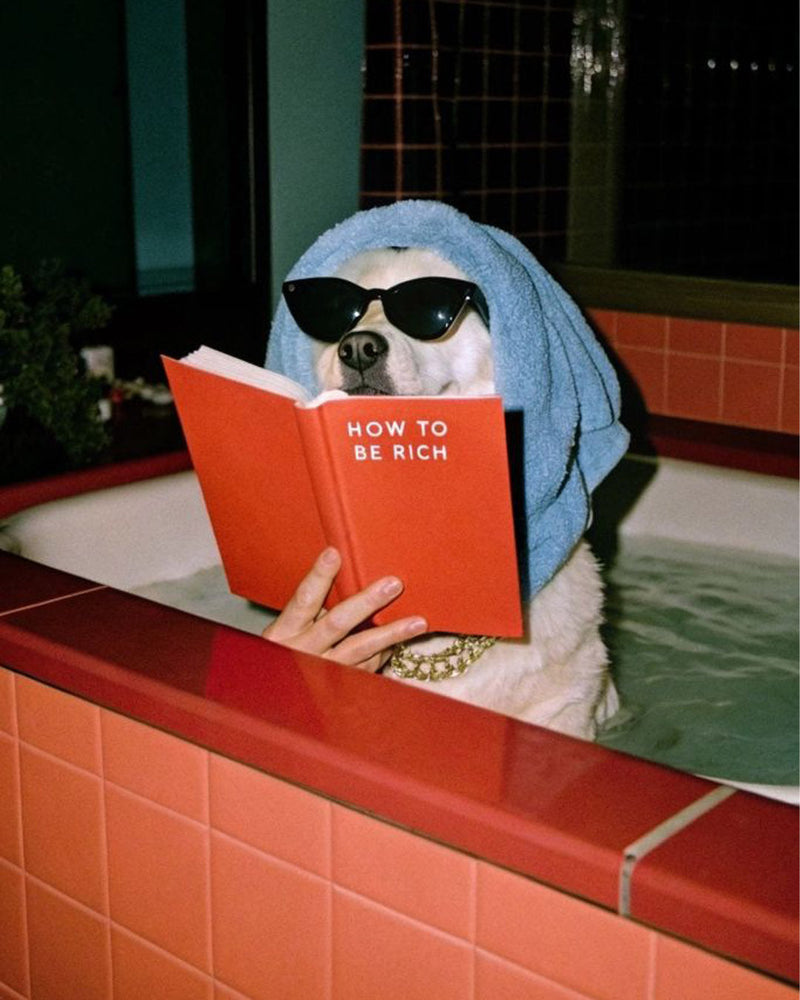 How weight affects Joint Health in Adult Dogs?