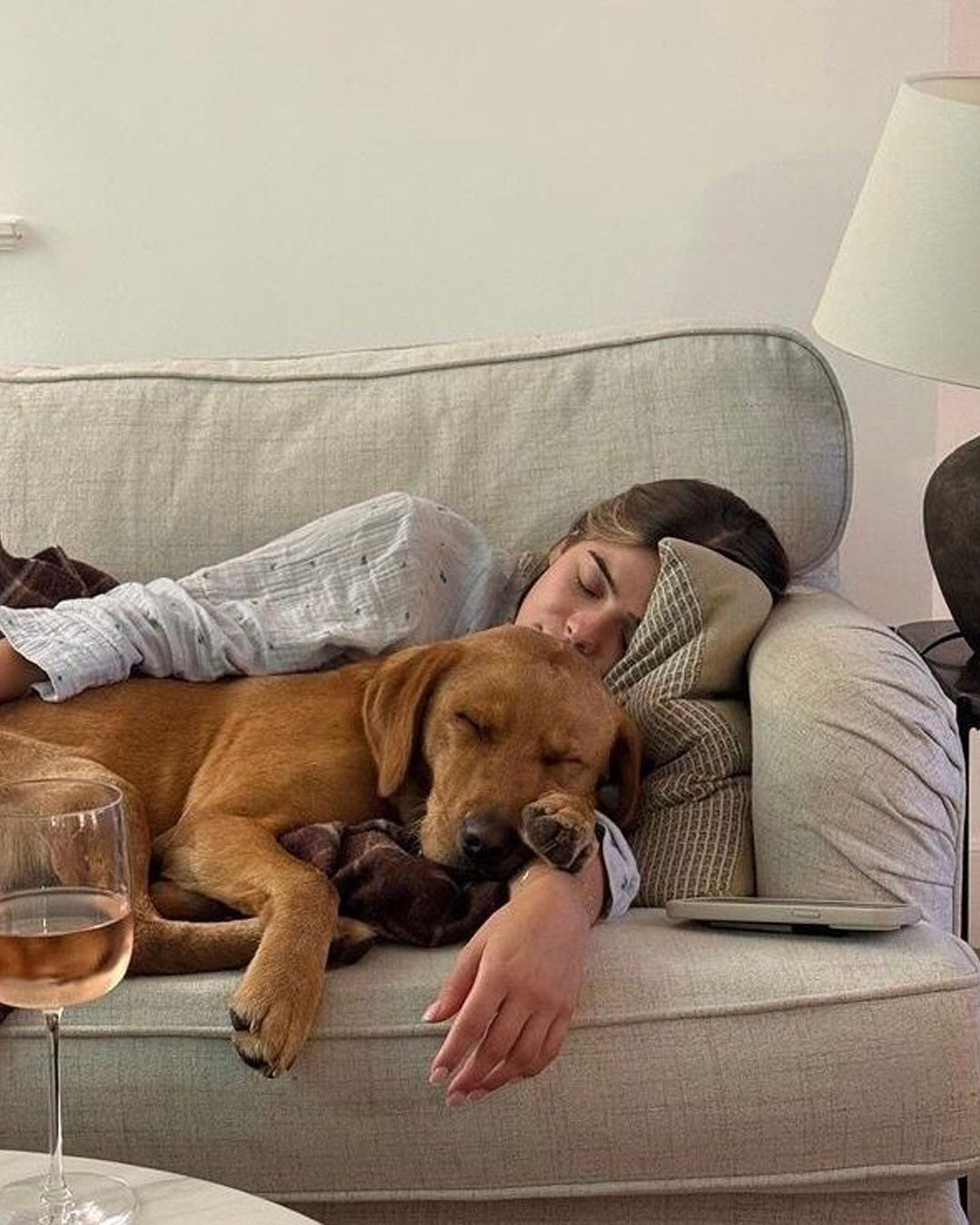 Can Adult Dogs Take Joint Supplements Daily?&nbsp;