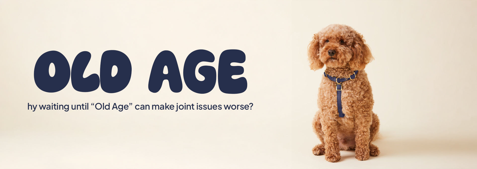 Why waiting until “Old Age” can make joint issues worse?