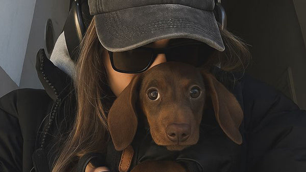 Where to Buy Max Strength Dog Supplements in the UK: A Complete Buying Guide