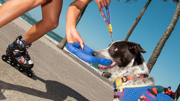 How to Choose the Right Strength Supplement for Your Dog – Adult, Senior or Max Strength?
