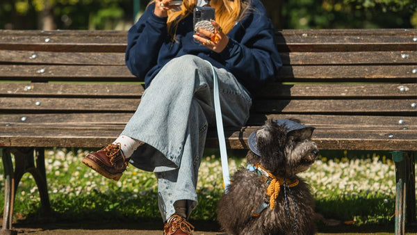 Complete Guide to Dog Joint Care: Help Your Dog Stay Playful and Pain-Free