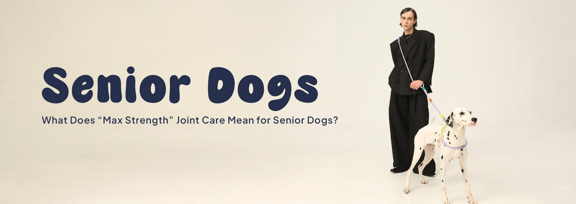 What does ‘Max strength’ joint care mean for senior dogs?