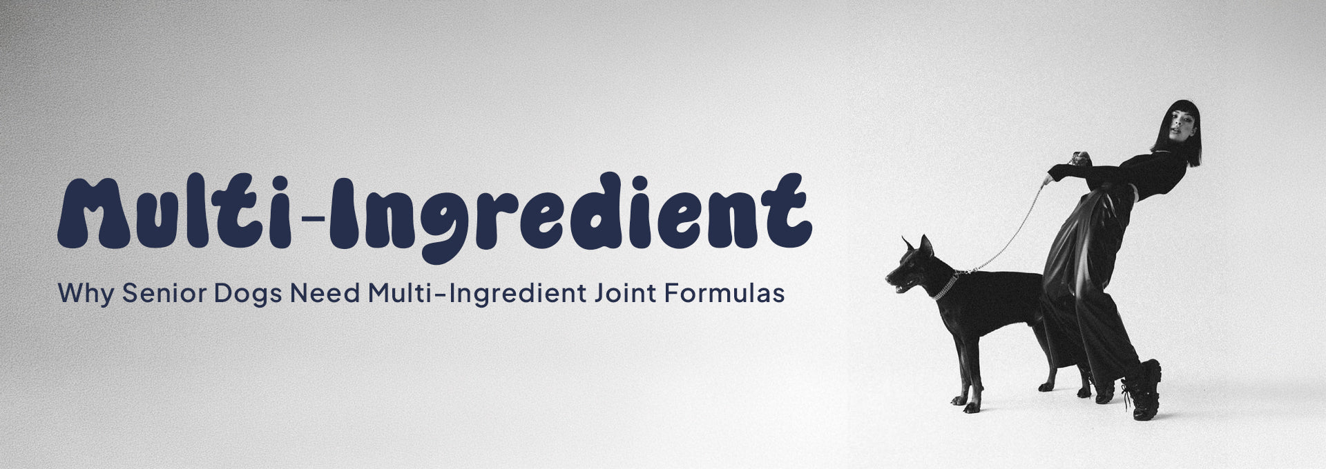 Why senior dogs need Multi-ingredient Joint Formula