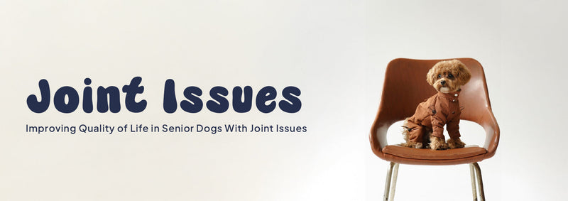 Improving Quality of Life in Senior Dogs with Joint Issues?