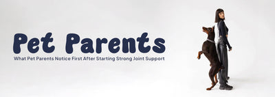 What pet parents notice first after starting strong joint care