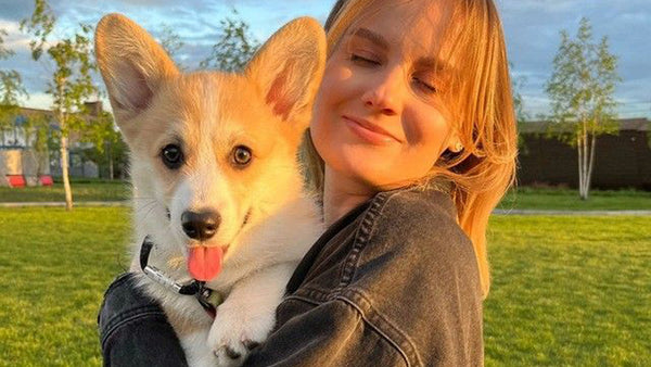 Jointsure for Dogs Review: How Does It Compare to Daddy Paw?