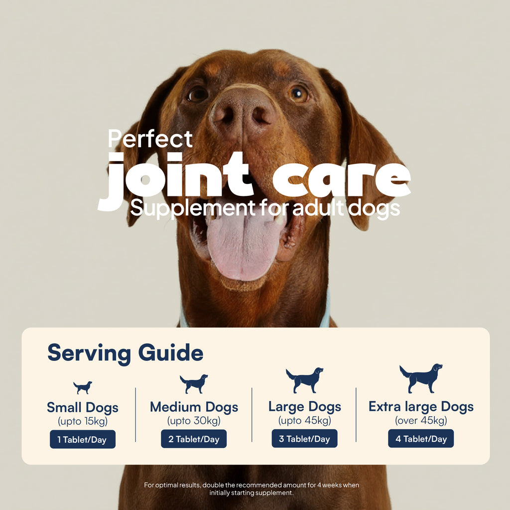 daddy paw joint care serving guide