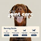 daddy paw joint care serving guide