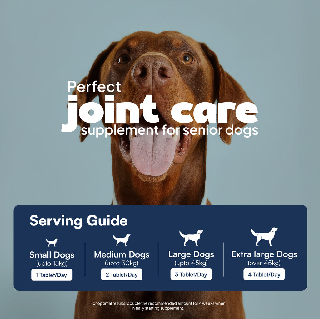 Daddy paw serving guide