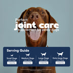 Daddy paw serving guide