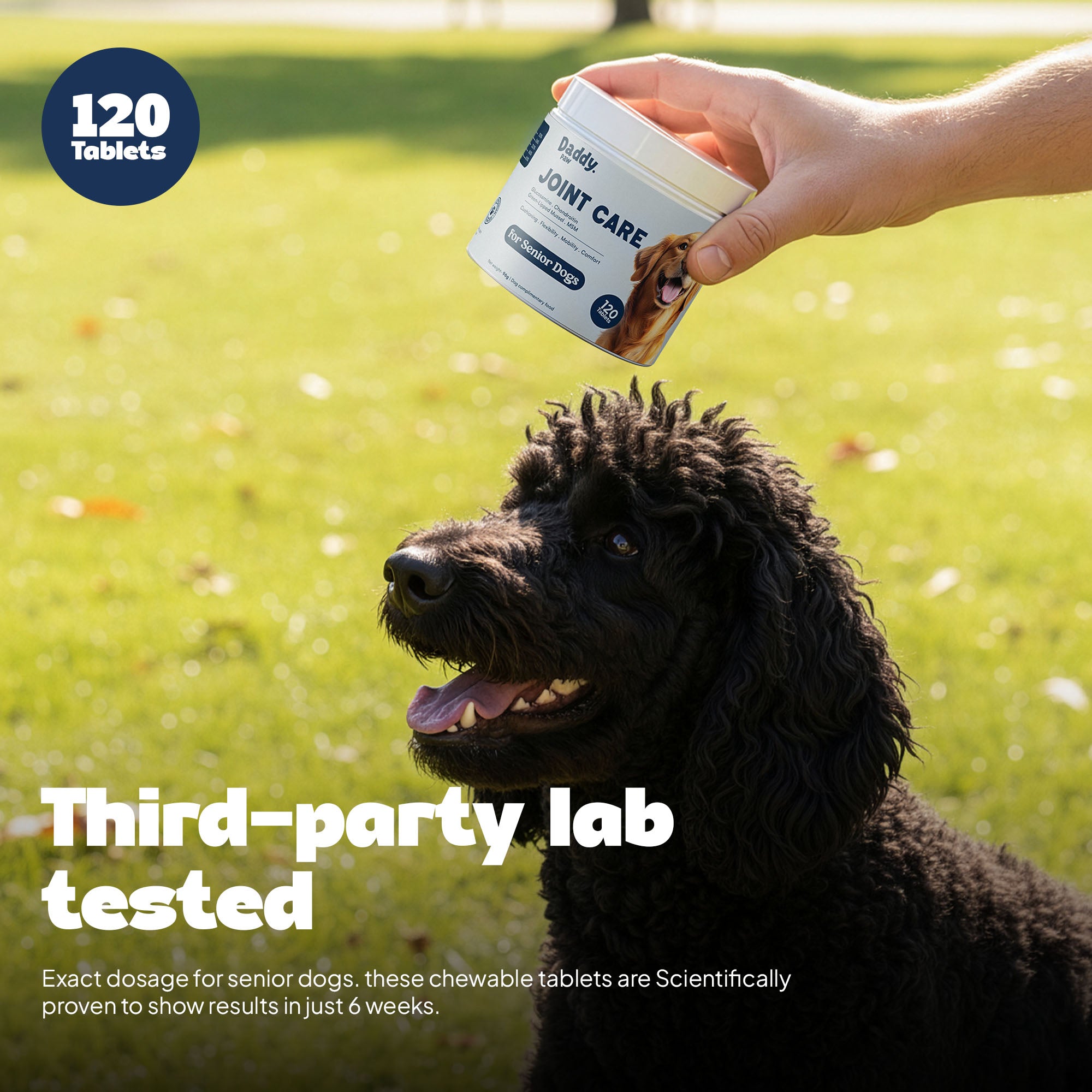 daddy paw third party lab tested proof