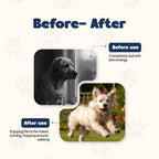 daddy paw before/after