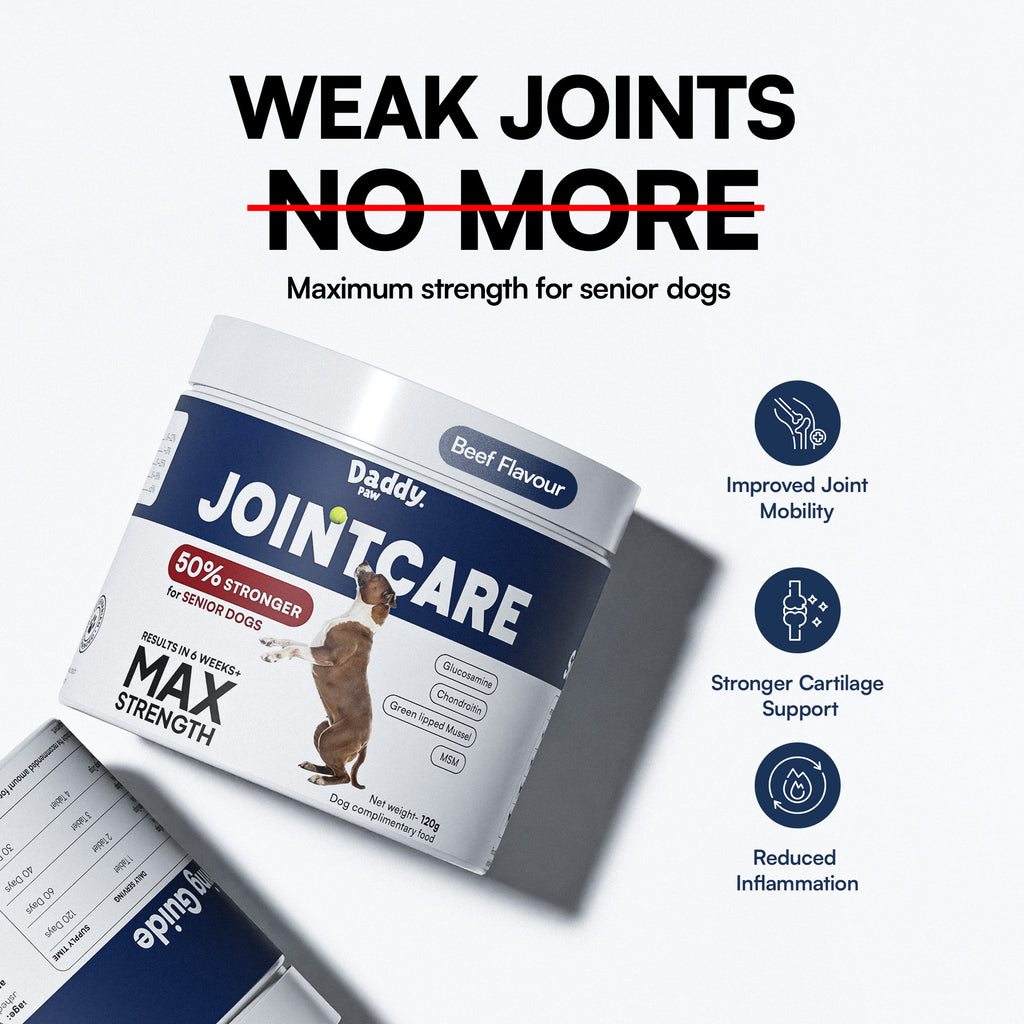 Daddy Paw Max strength for senior dogs