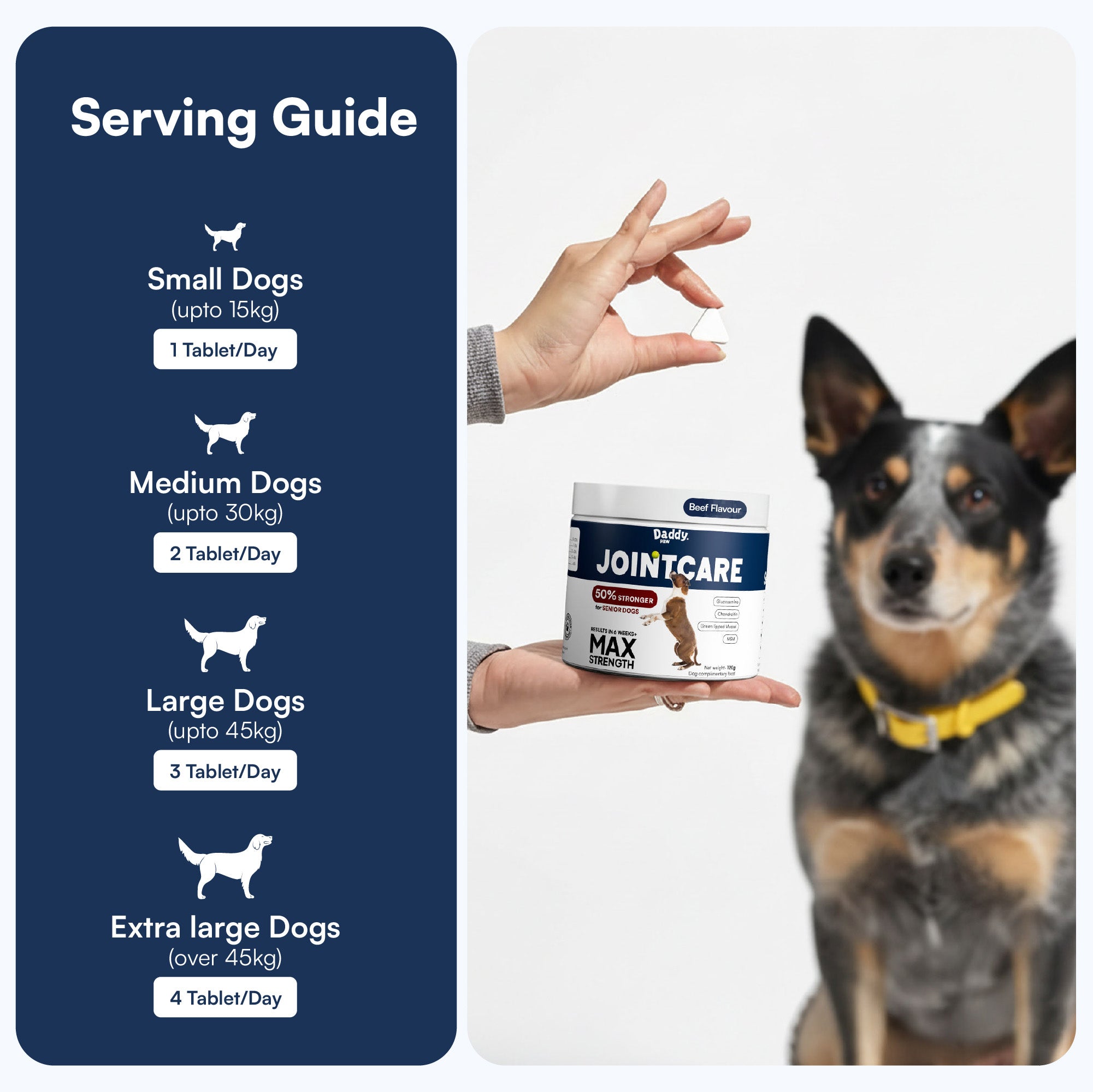 Daddy Paw max strength joint care 