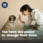 daddy paw educational slide