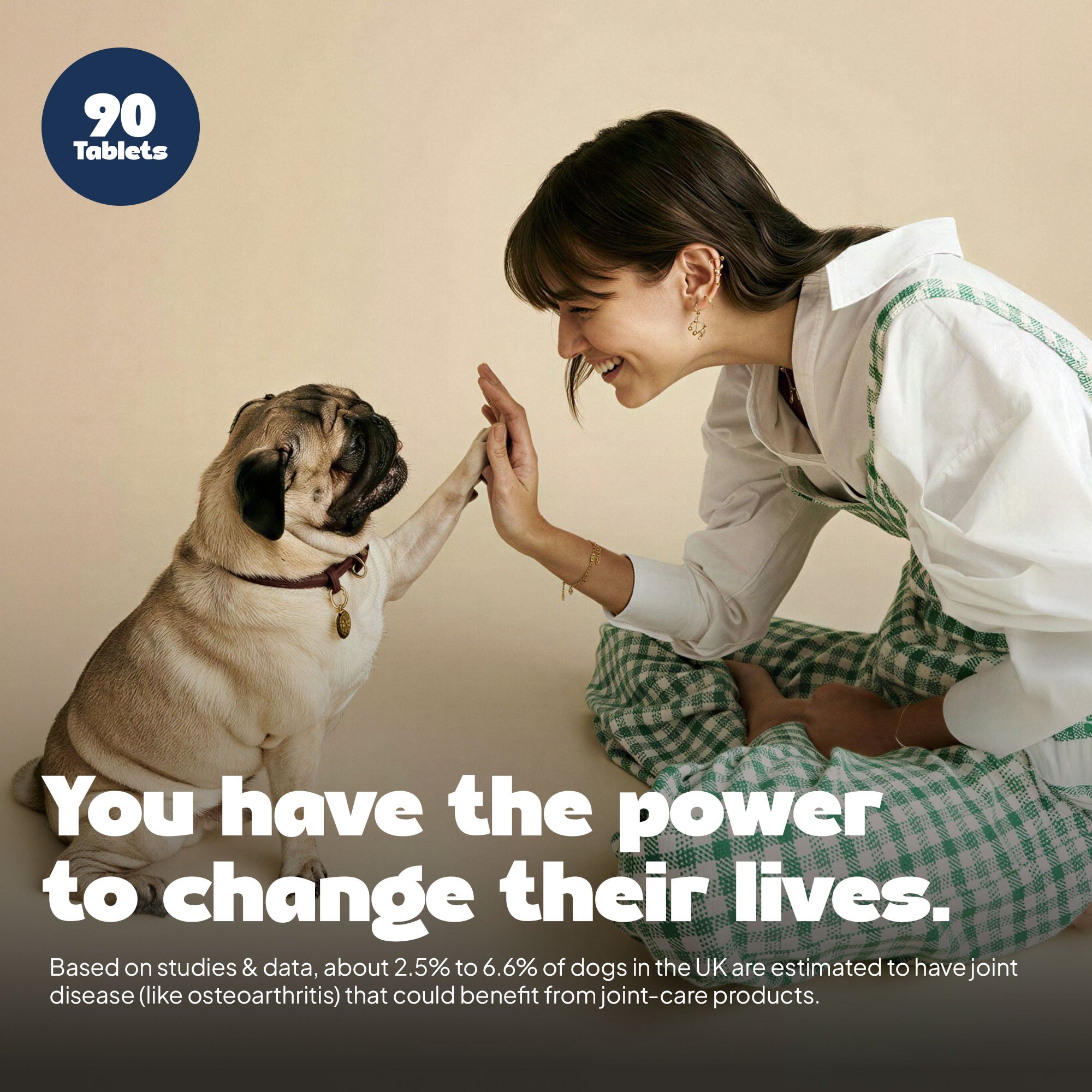 daddy paw educational slide