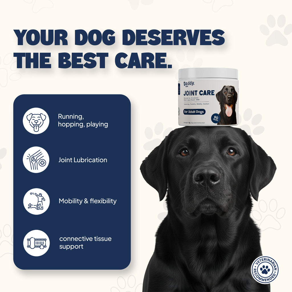 daddy paw supplements educational slide