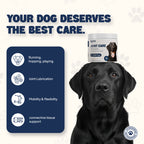 daddy paw supplements educational slide