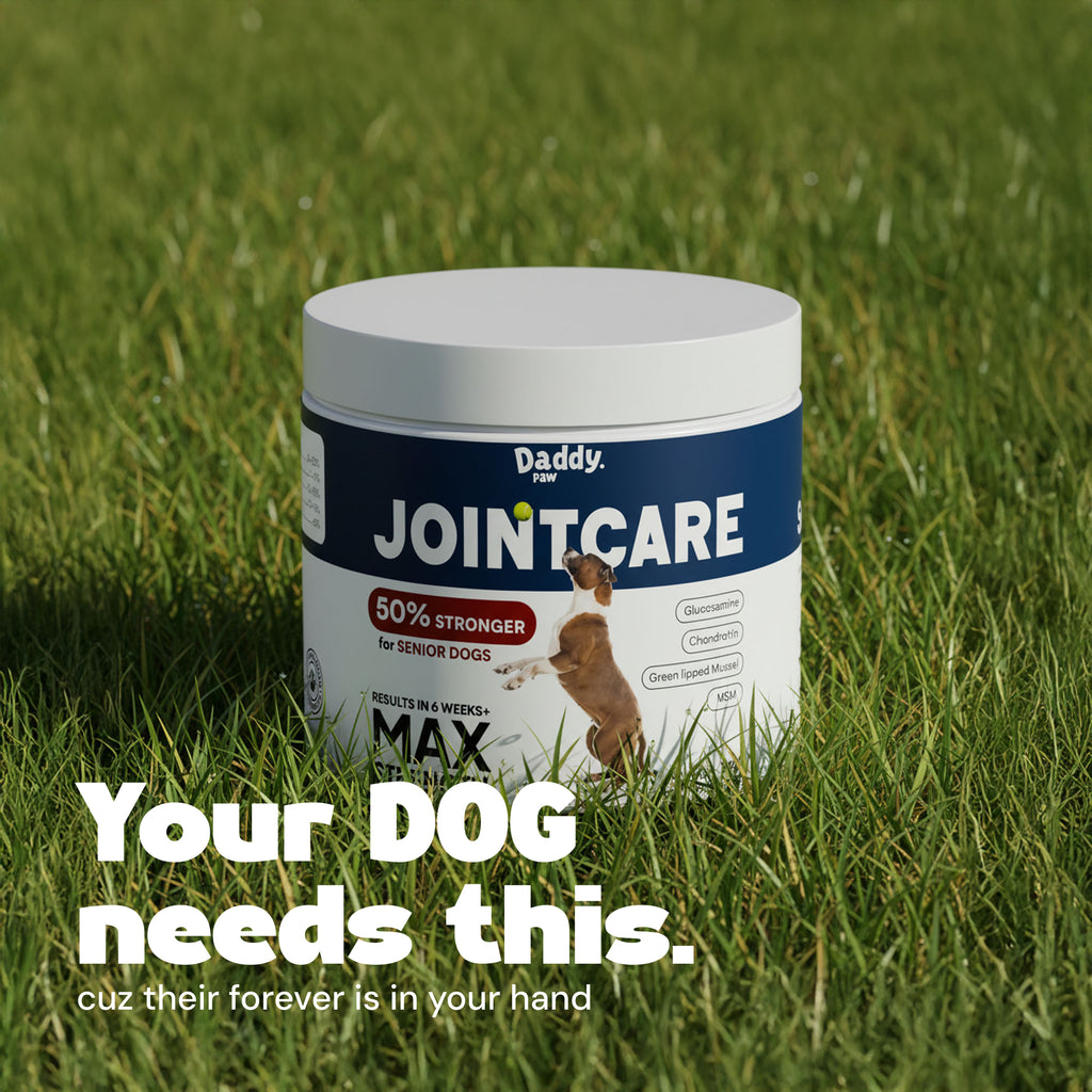 yumove max strength for senior dogs 