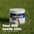 yumove max strength for senior dogs 