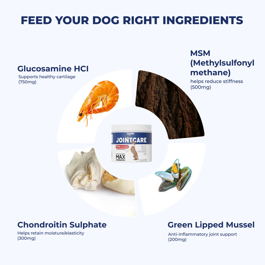 Yumove max strength for senior dogs 