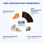 Yumove max strength for senior dogs 