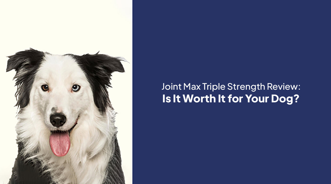 Joint Max Triple Strength Review: Is It Worth It for Your Dog?