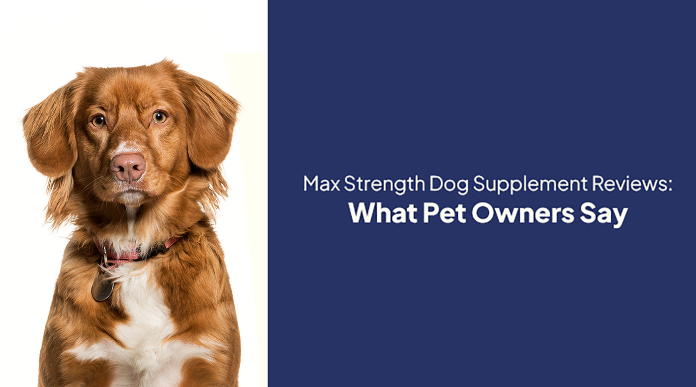 Max Strength Dog Supplement Reviews: What Pet Owners Say