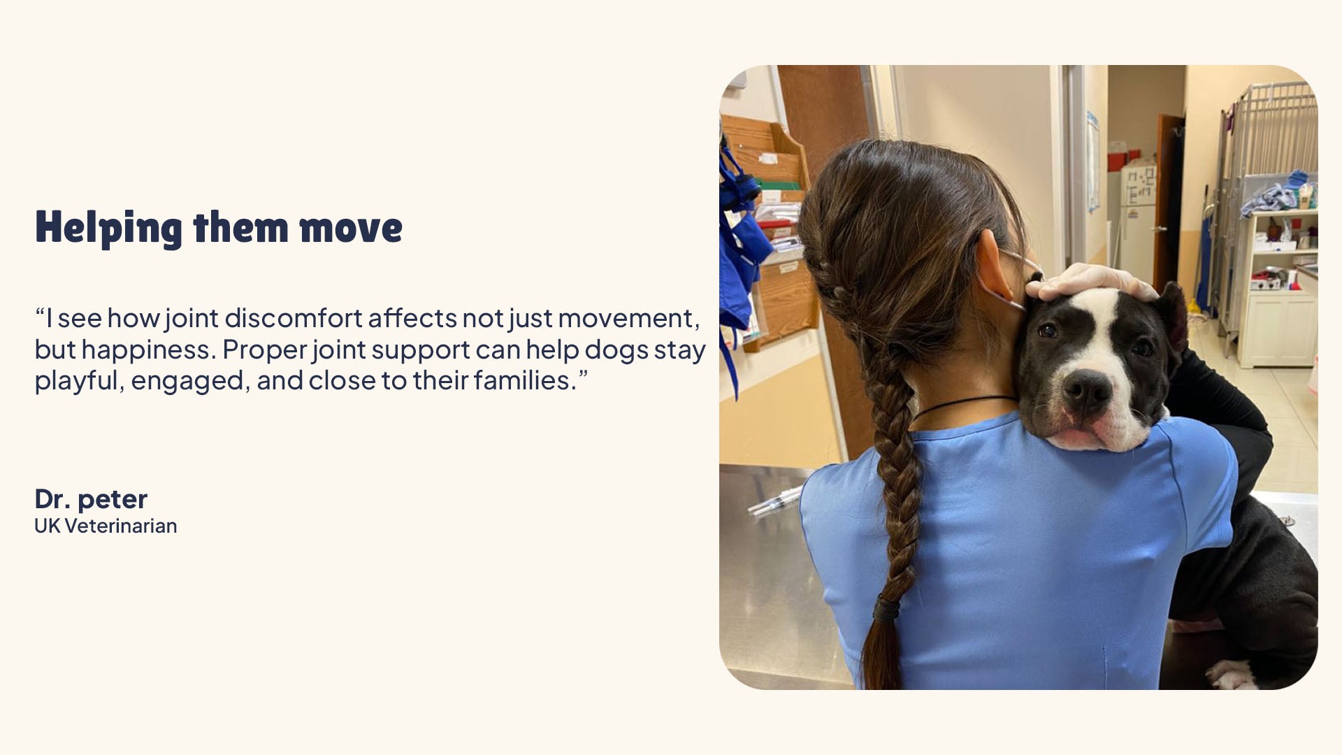Person holding a dog in a veterinary clinic with text about joint support for dogs.