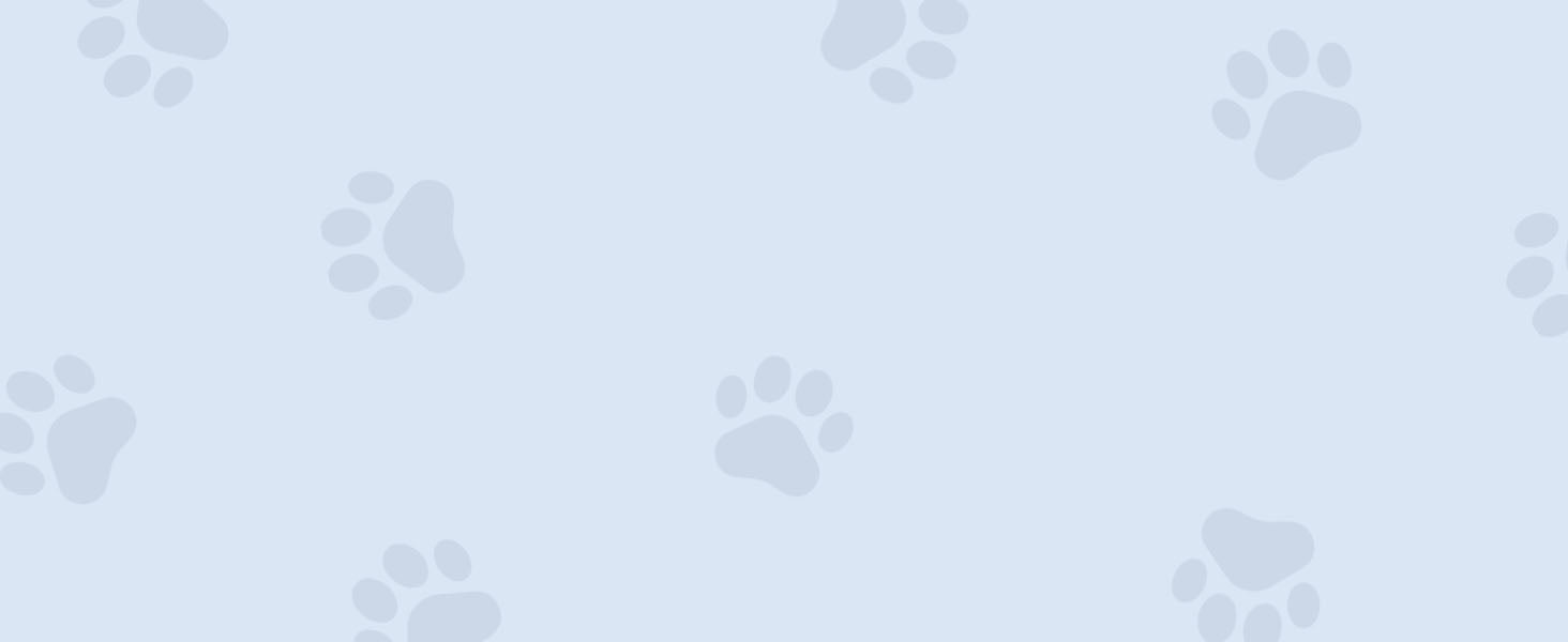 grey bg with light blue paw pattern
