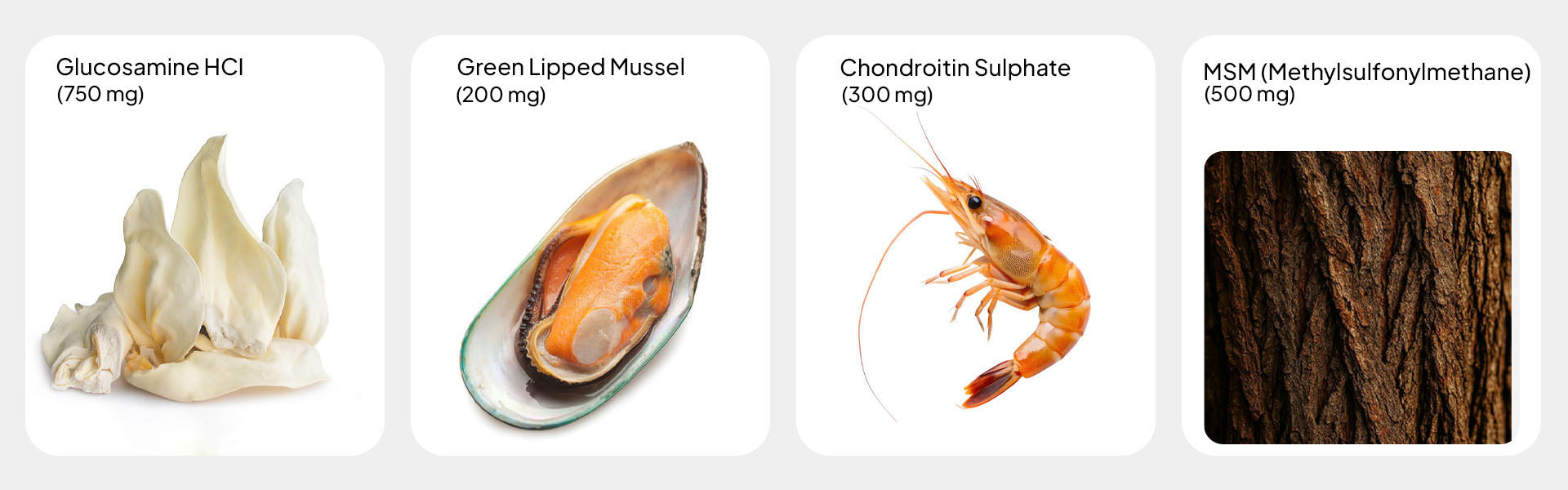 max strength ingredients 