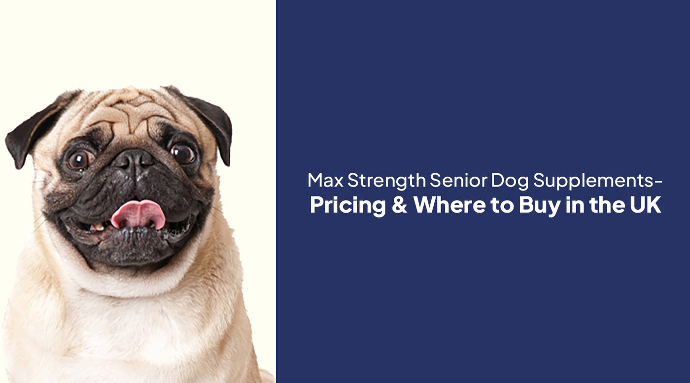 Max Strength Senior Dog Supplements: Pricing & Where to Buy in the UK